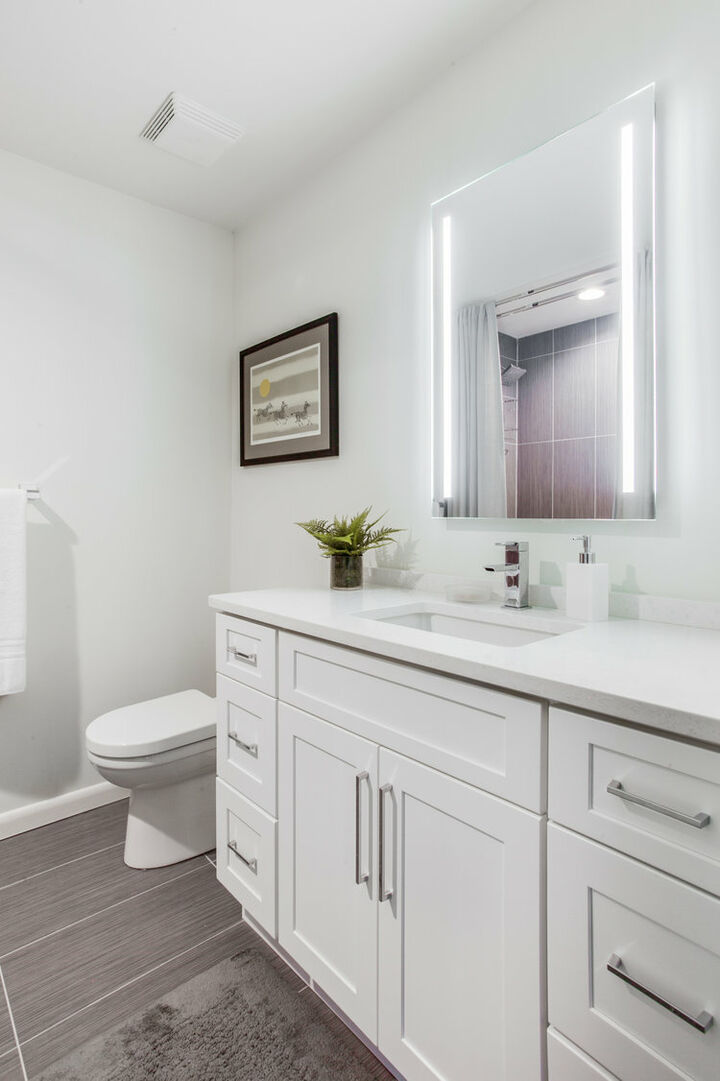 Single Vanity Sink, Mirror, and Toilet.
