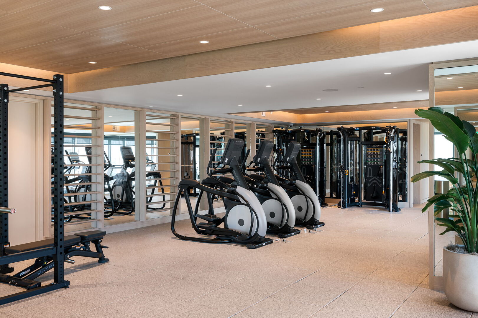 Cardio fitness area
