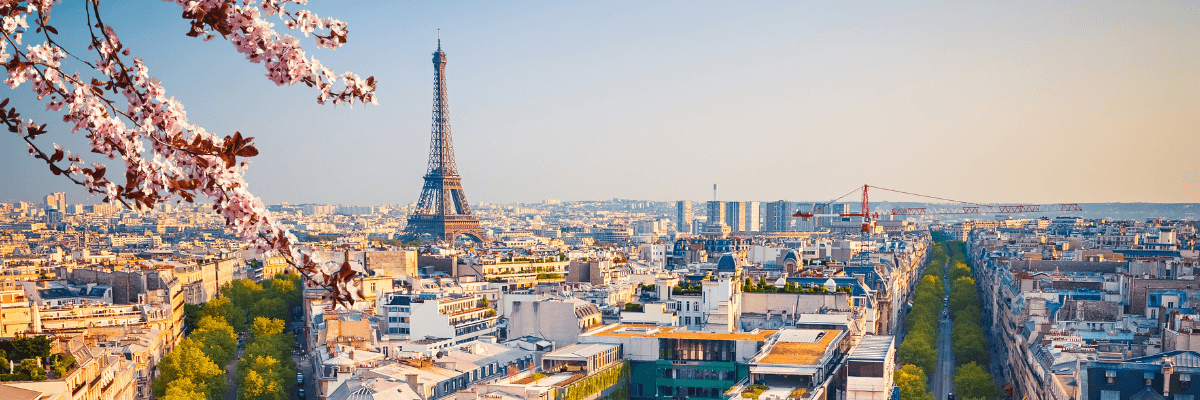 Study in France