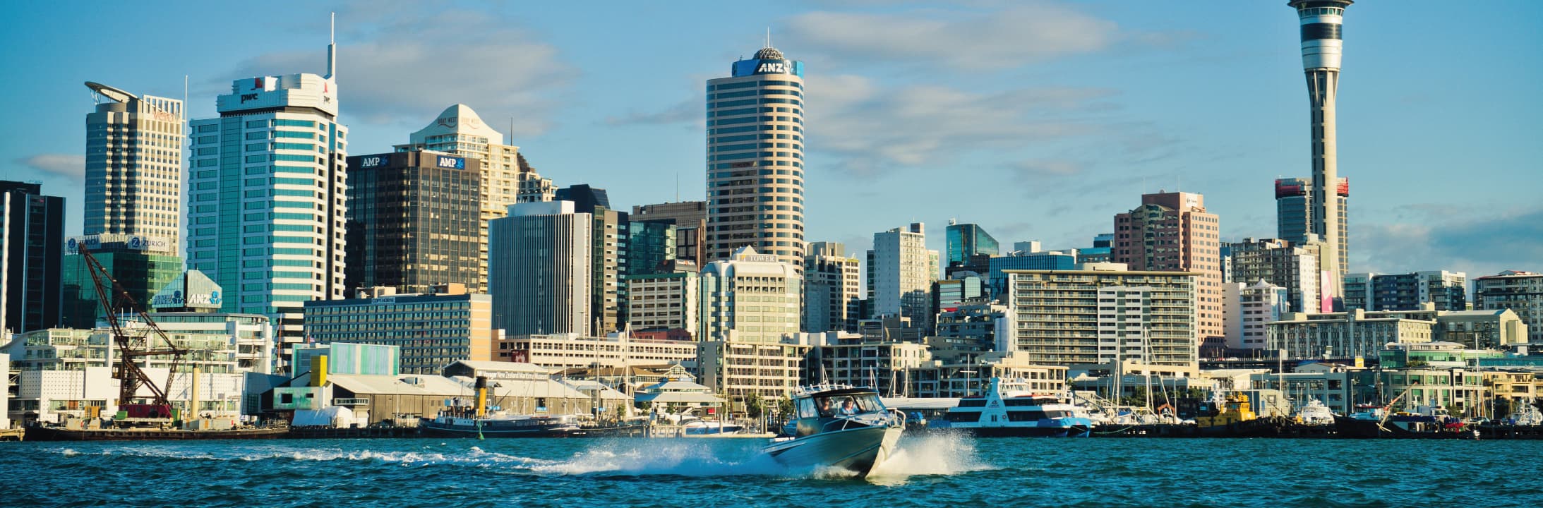 Study in New Zealand